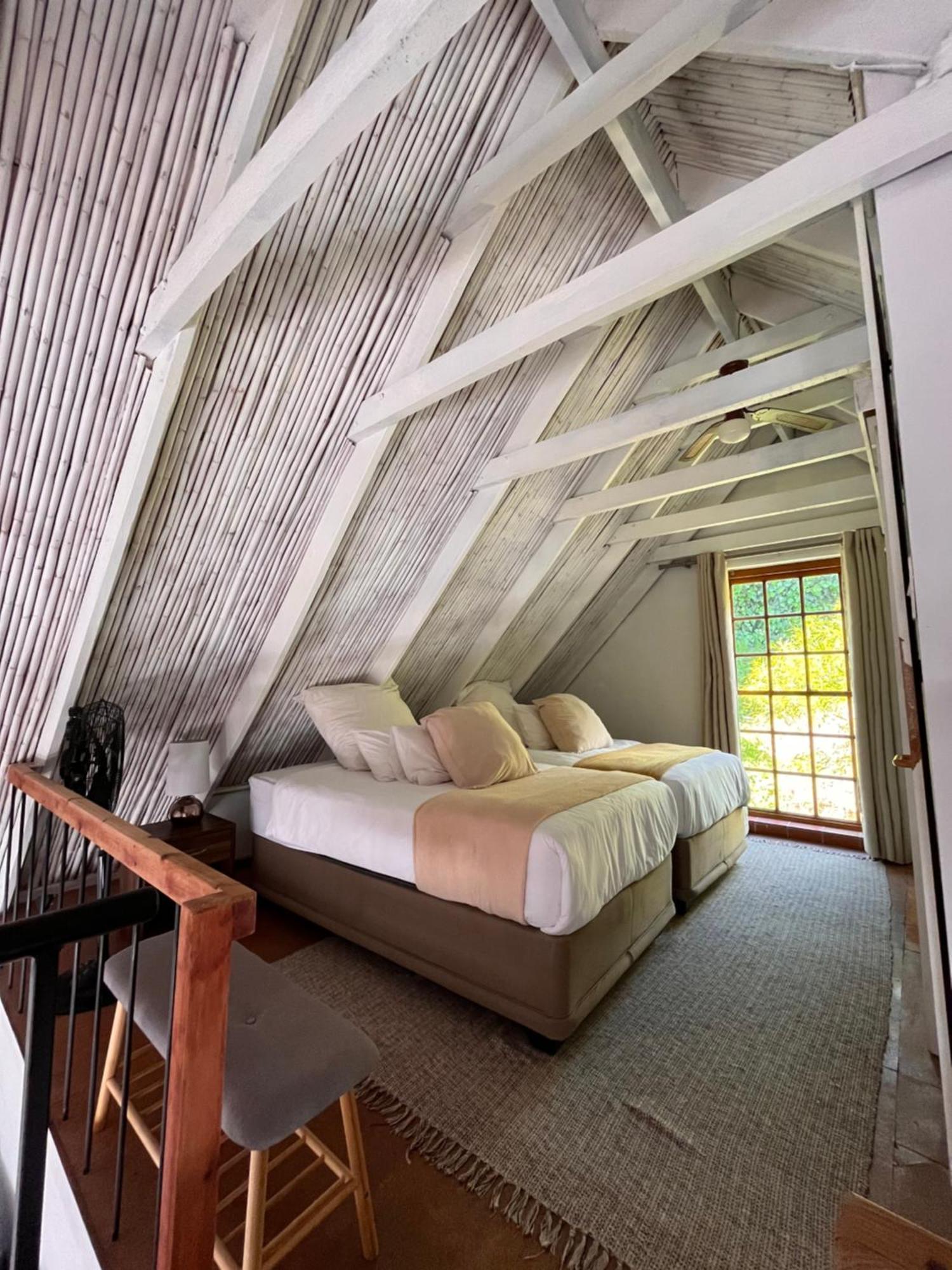 开普敦Cozy Camps Bay House With Mountain And Sea View别墅 外观 照片